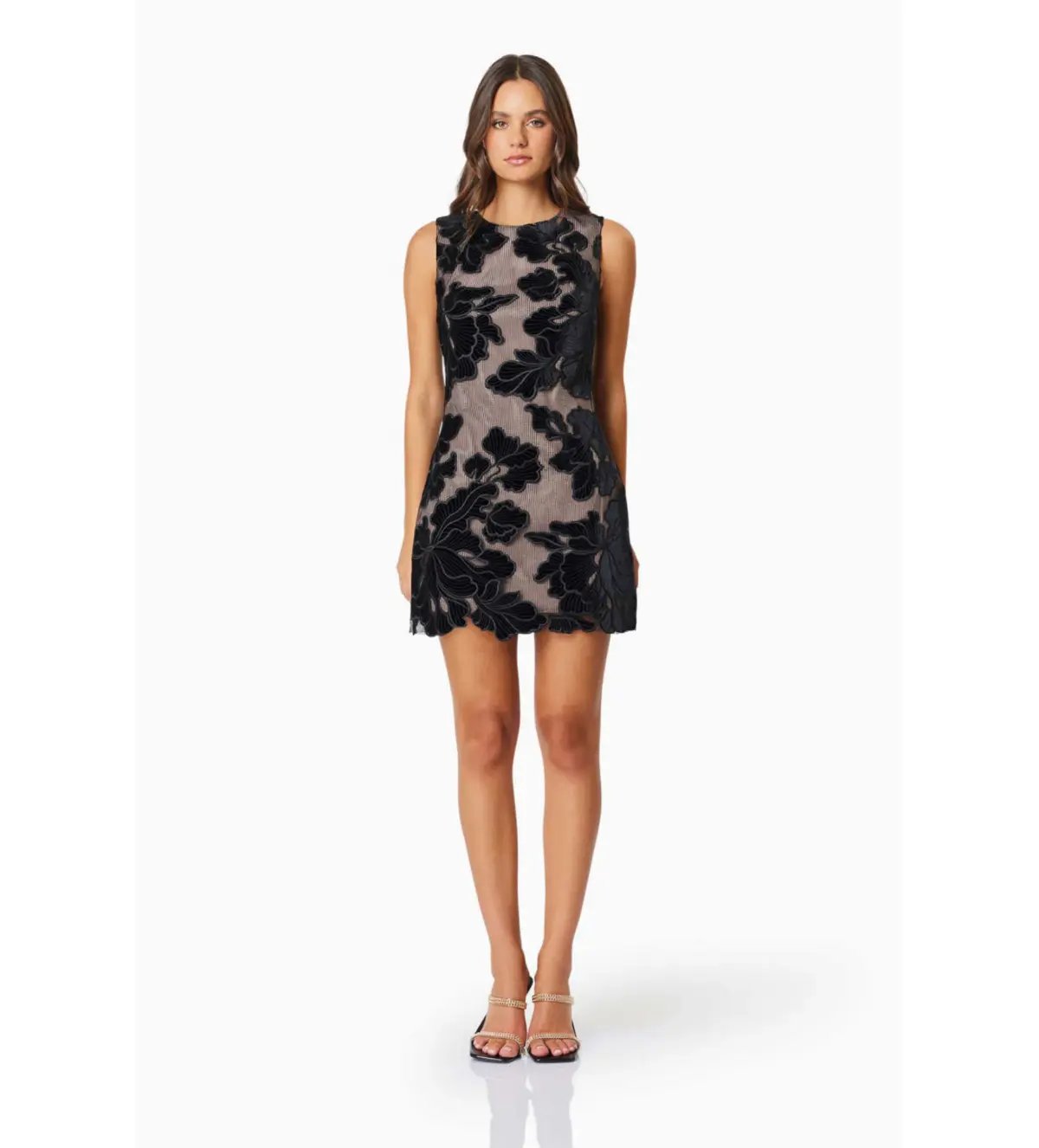 Elliat Zara Day To Night Mini Dress In Black Size 8 photo 3