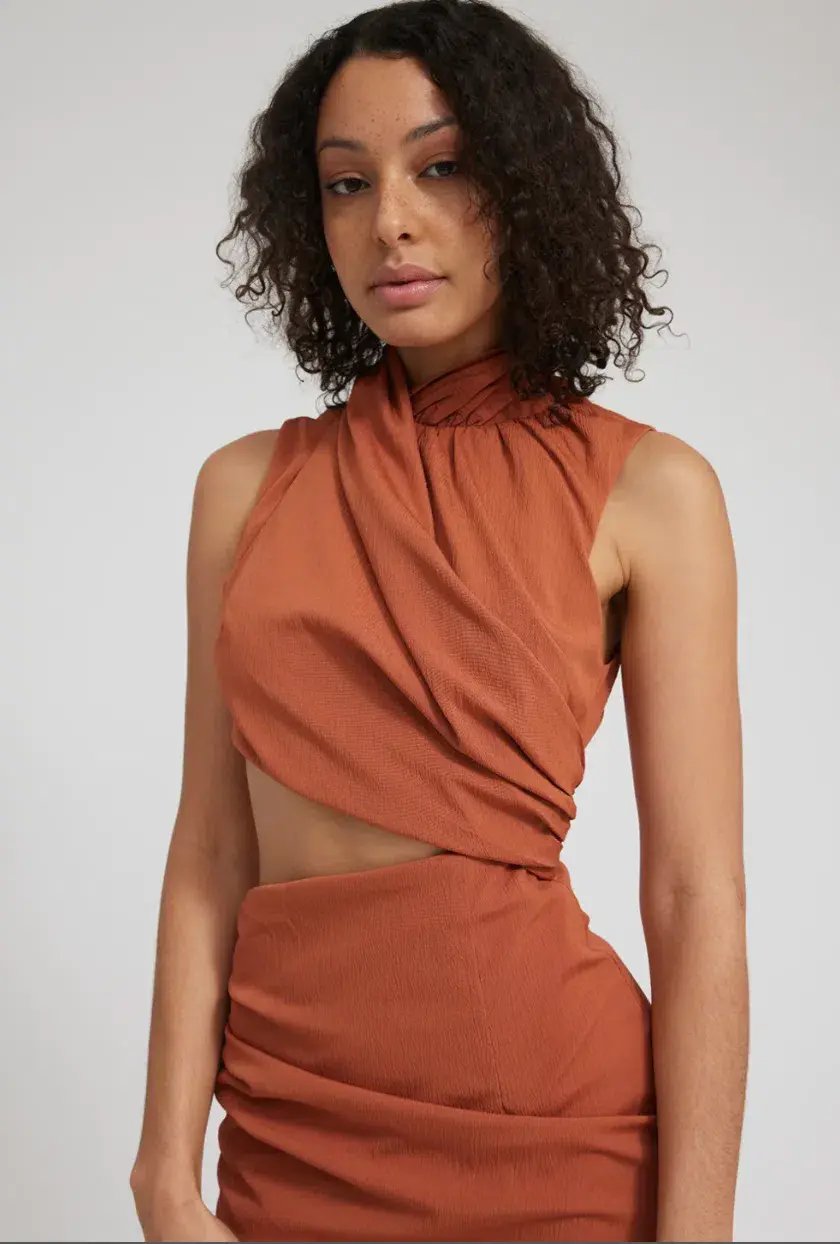 Tojha Gianna Dress Nude Orange Size 6 photo 5
