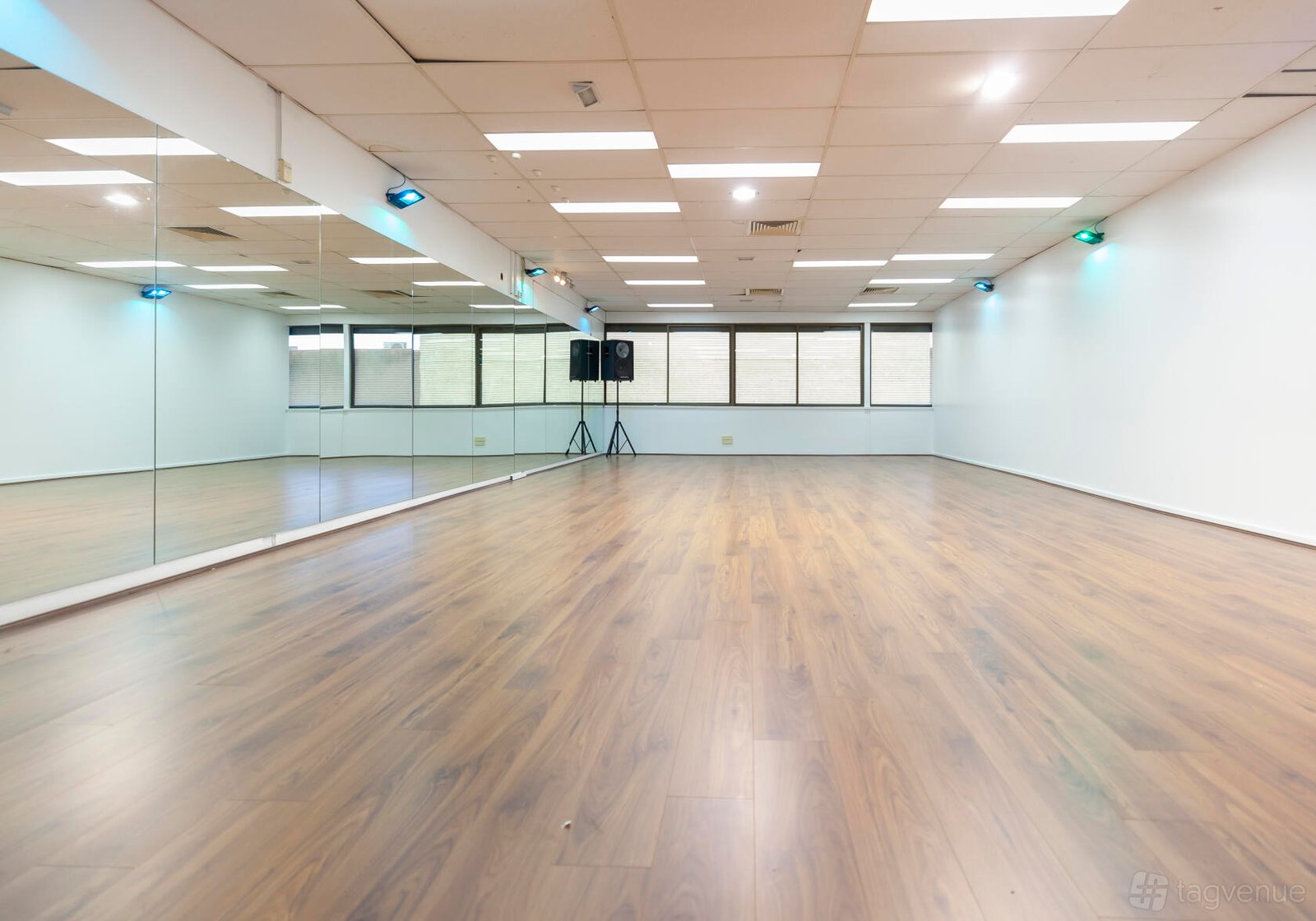Main Studio at Latin Junction photo 2