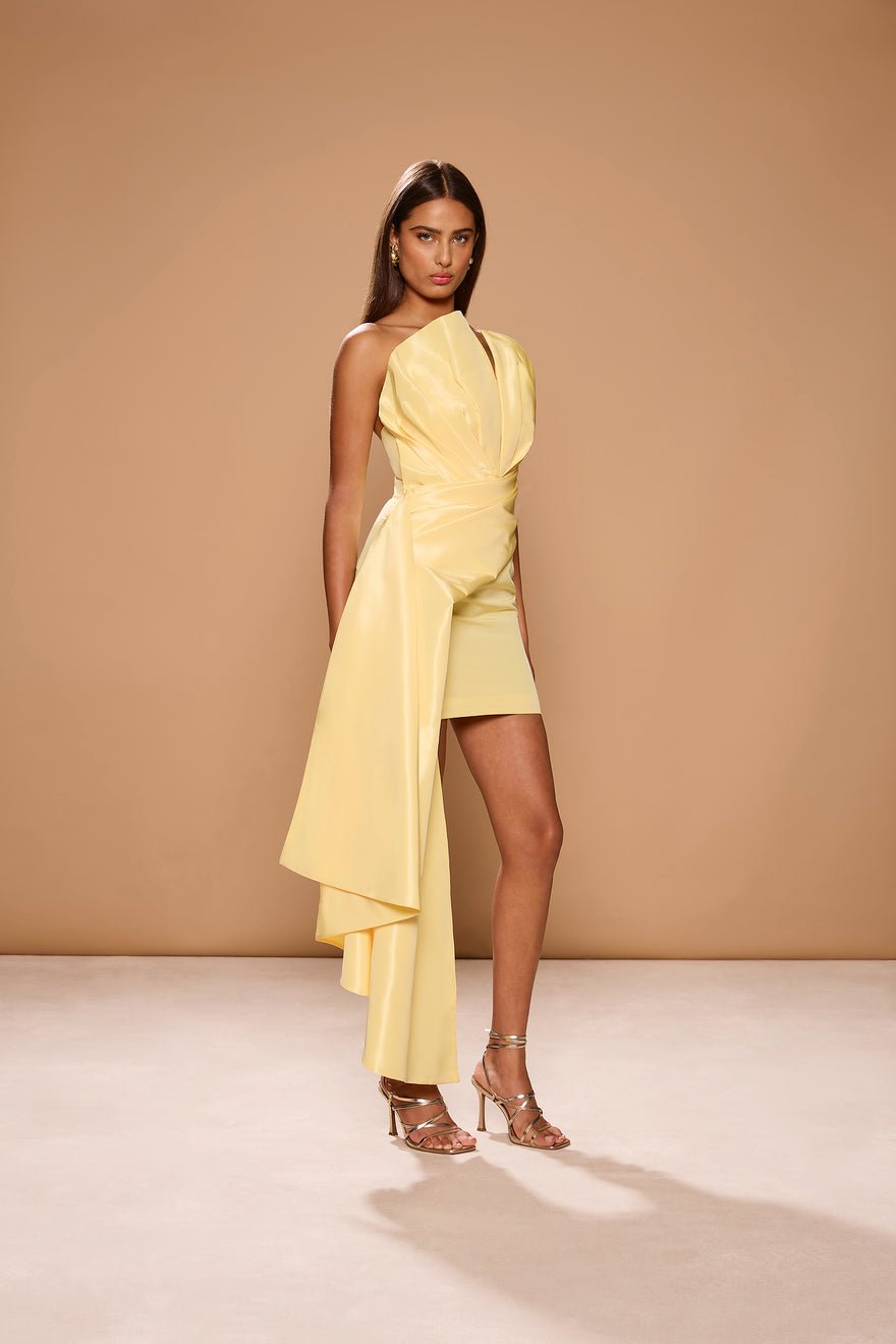 Sonya Jacques Mini Dress - Yellow photo 3