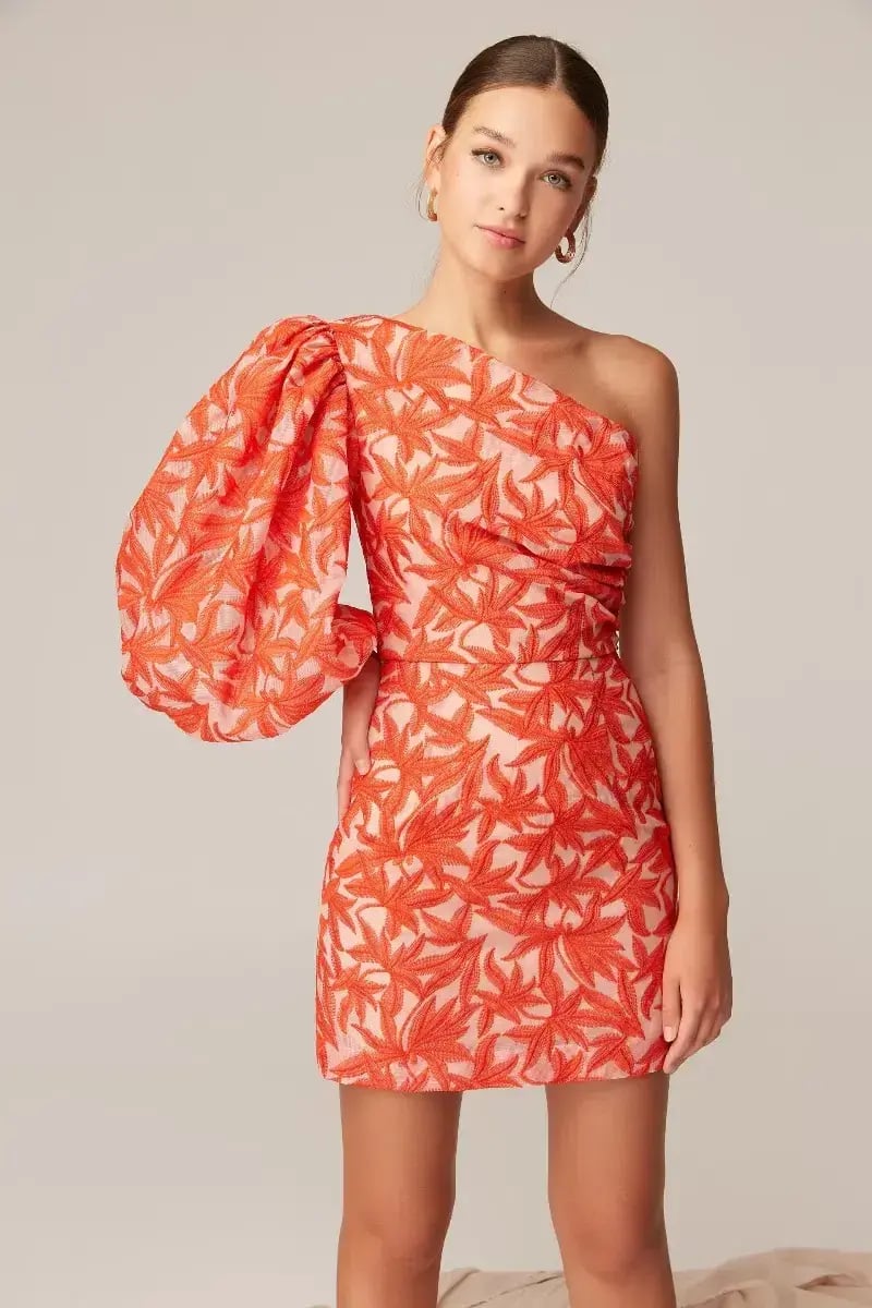Keepsake the Label Parallel Mini Dress Cosmetic W Chili Print Size 10 photo 3