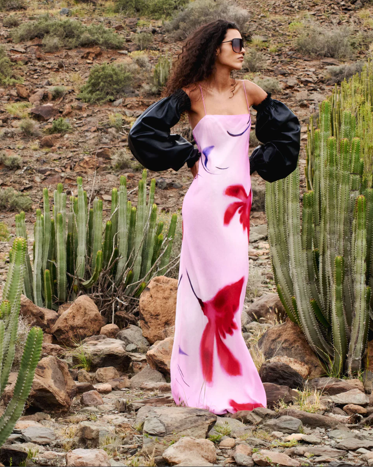 Rat & Boa Alicii photo 2