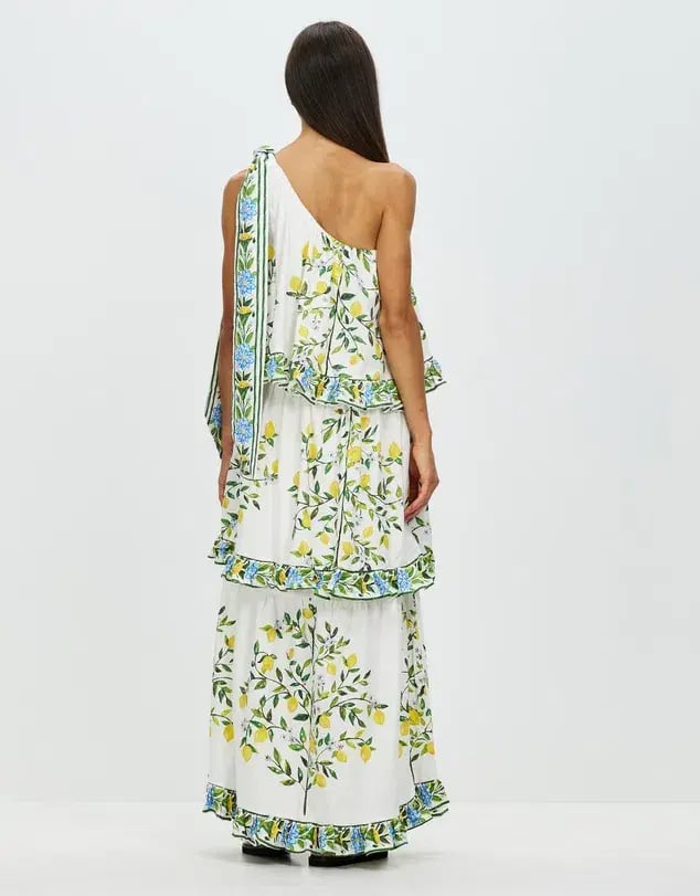 Binny You & Me in Capri Maxi Dress Print Size 12 photo 3