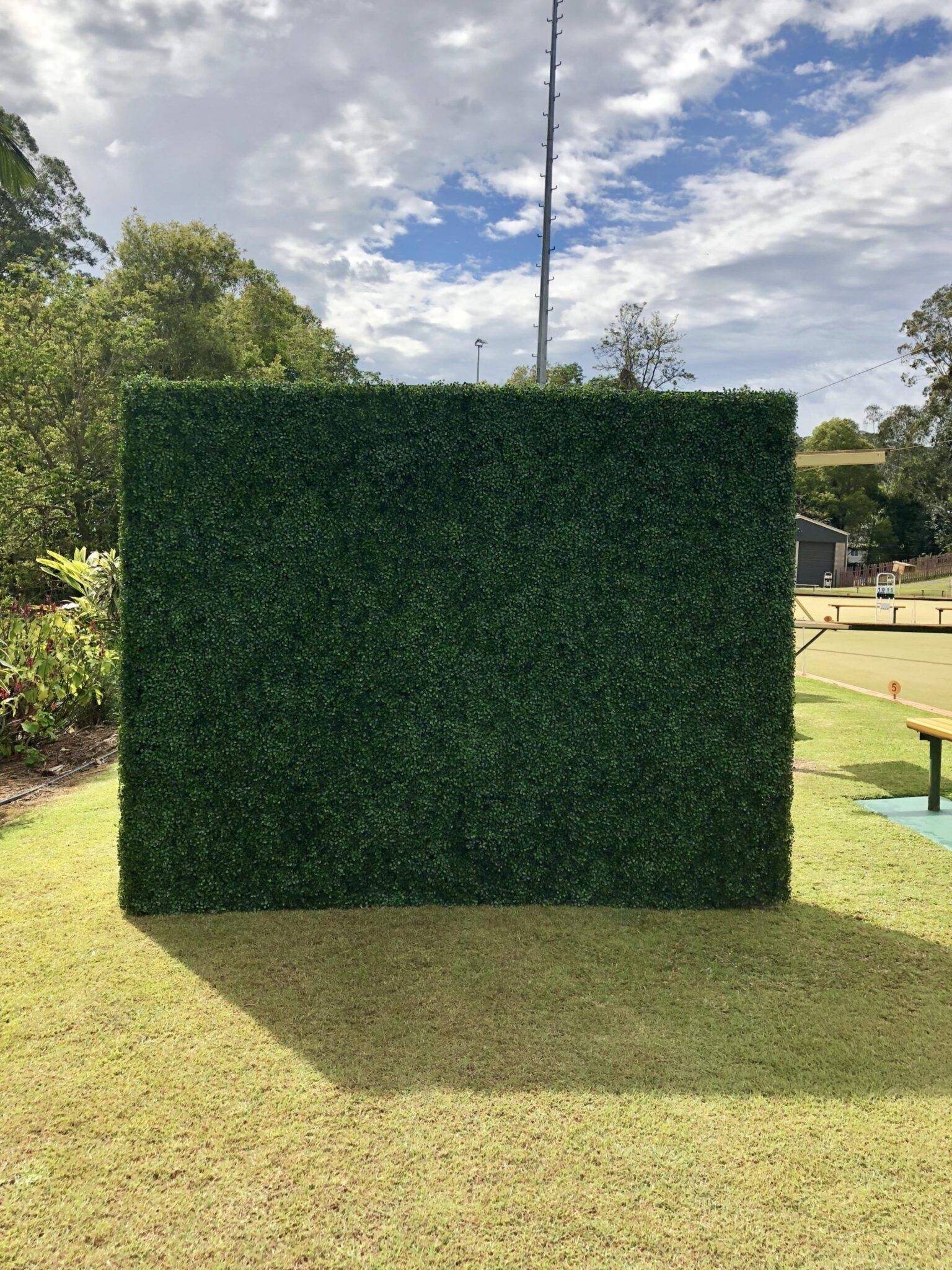 Box Hedge Wall Backdrop photo 5