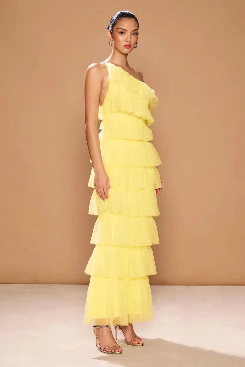 Sonya Moda Ravenna Dress Primrose Maxi Size AU 12 photo 4