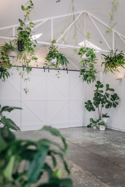 Well Lit and Spacious Studio in Collingwood photo 5