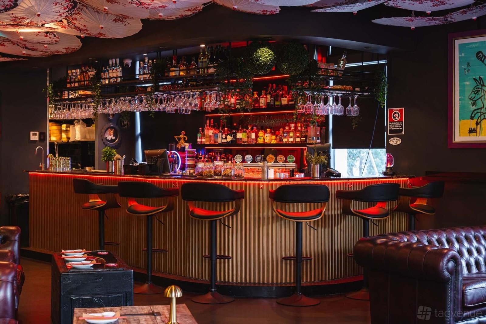 Main Dining at Lucky Cat, Dumpling Bar & Lounge photo 3