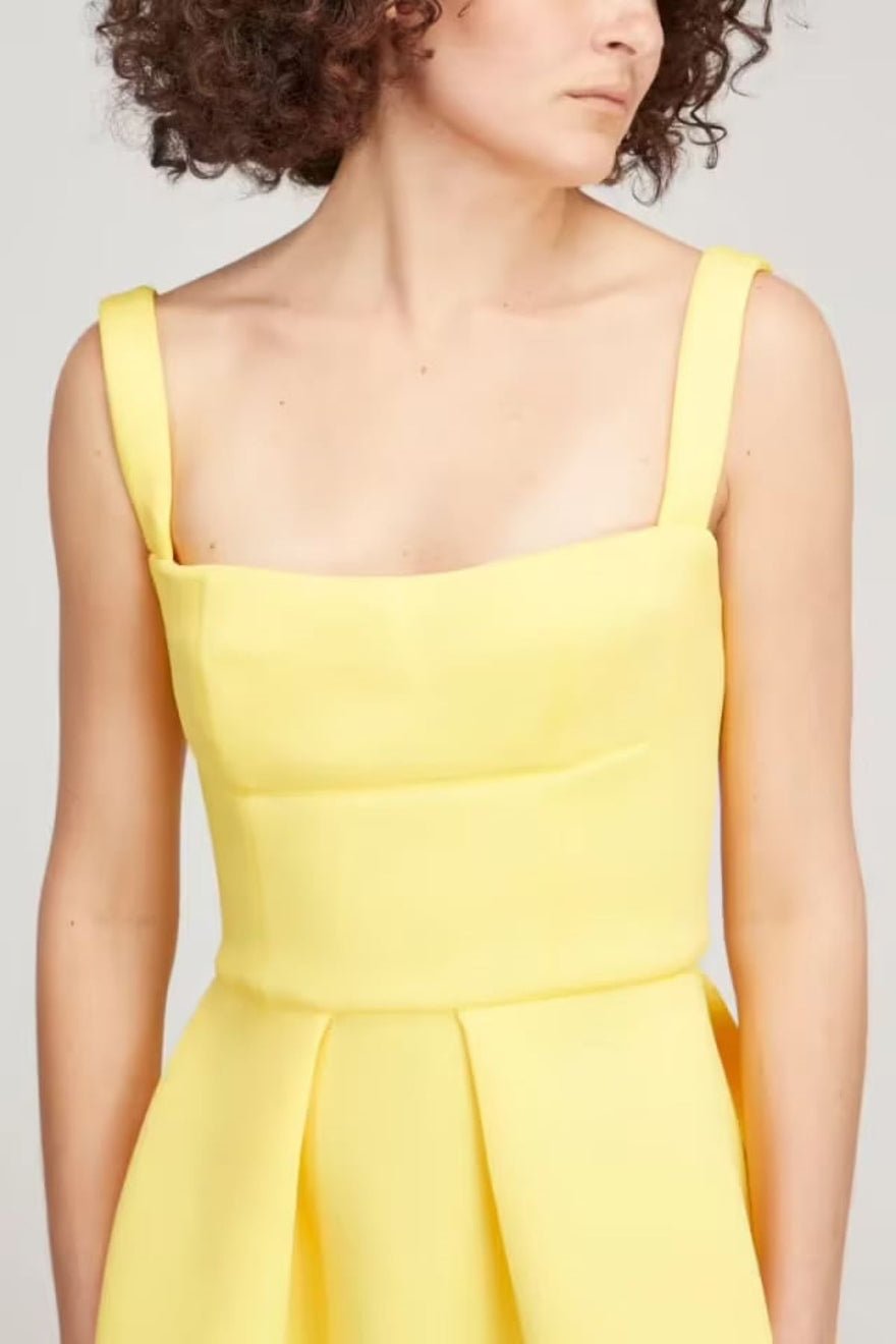 Rachel Gilbert Cora Gown in Yellow photo 2