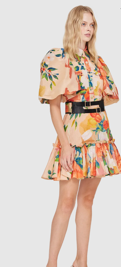 Florescence Cambridge Mini Dress Leo Lin photo 3