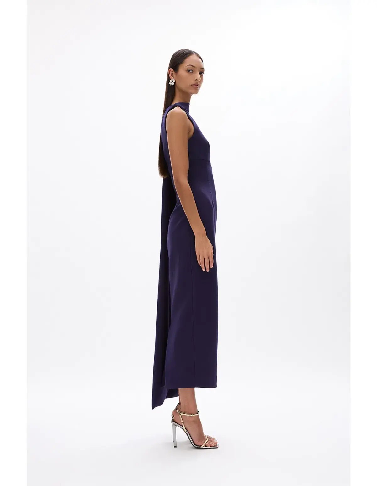 Rachel Gilbert Clara Midi Dress Dark Indigo Dark Purple Size 1 / Size AU 8 photo 6