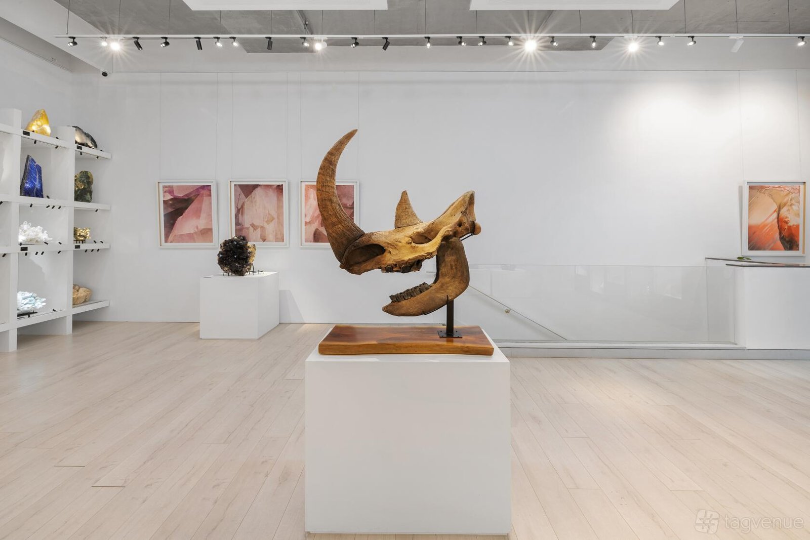 The Gallery Space at B.C. House photo 5
