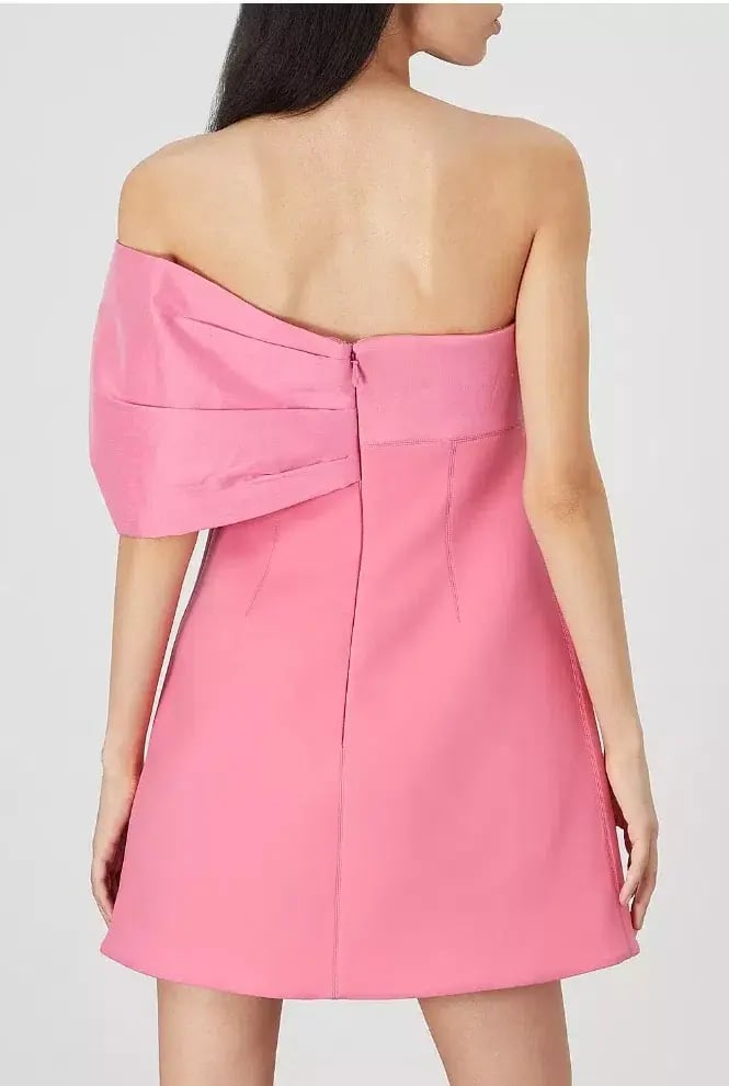 Rachel Gilbert Kace Mini Dress Pink Size4/AU14 photo 4