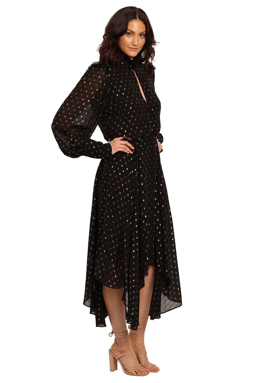 Jasmeen Dress photo 2
