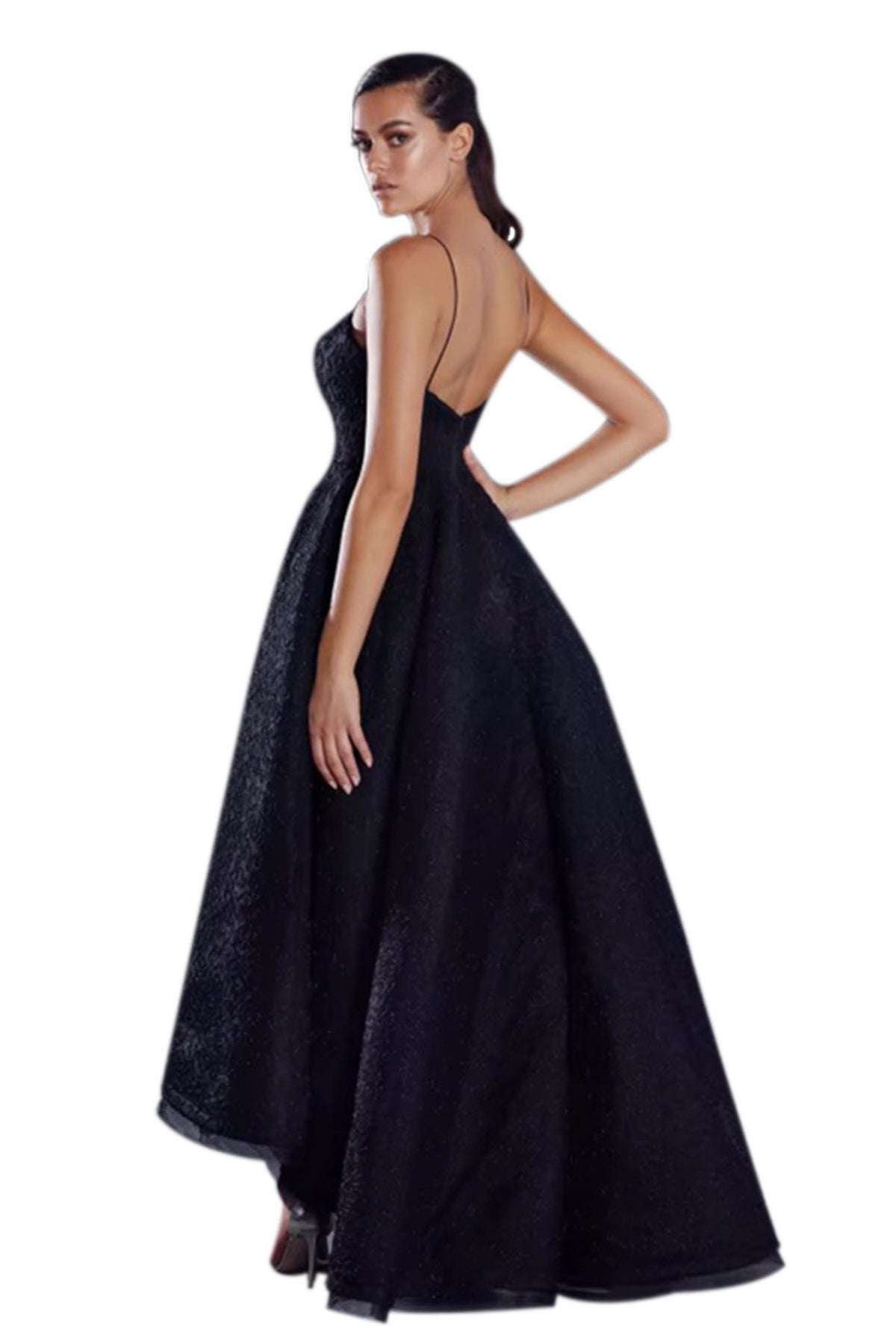 Audrey Gown in Black (JX045) photo 2
