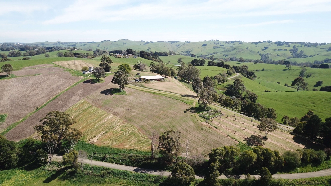 Kardella Country Homestead photo 4