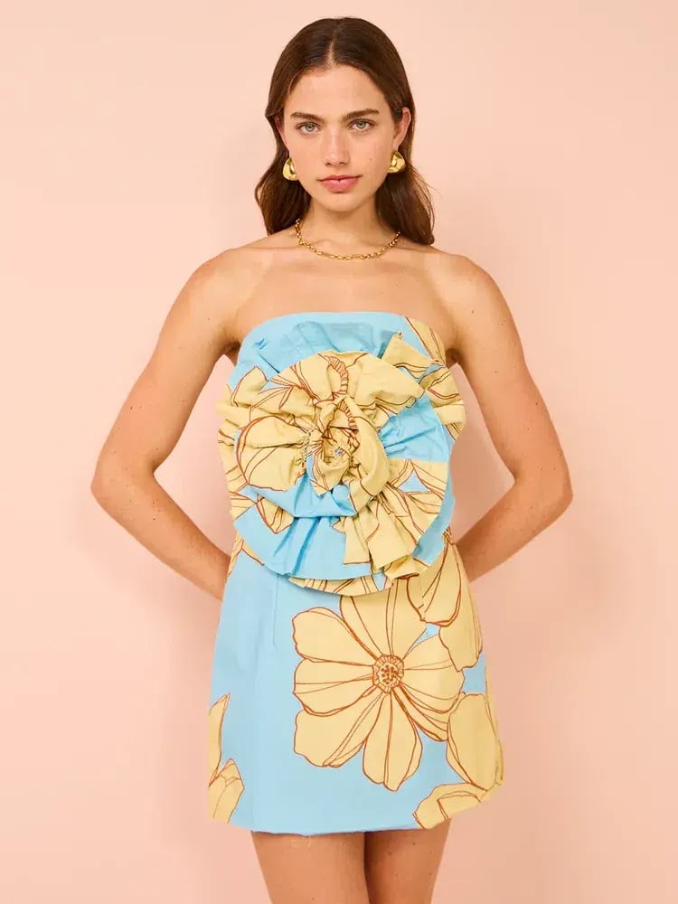 Issy Rose Bodice Mini Dress In Summer Print Size 10 photo 2