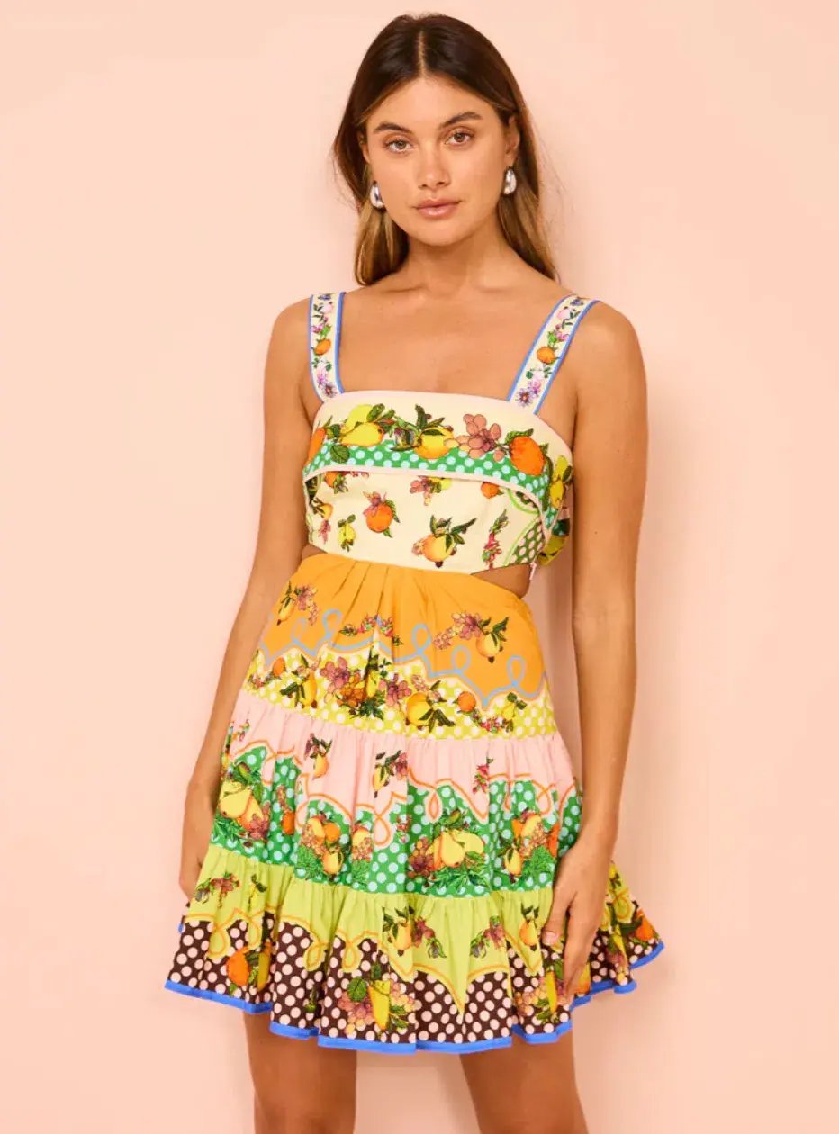 Alemais Lemonis Cut Out Mini Dress Multi Size 10 photo 2