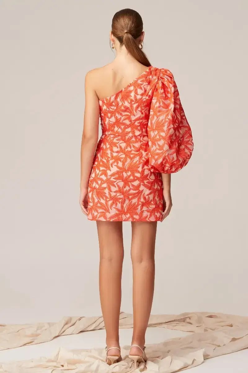 Keepsake the Label Parallel Mini Dress Cosmetic W Chili Print Size 10 photo 2