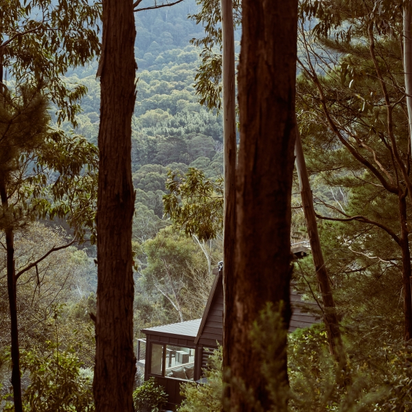 Marsel’s Place photo 6