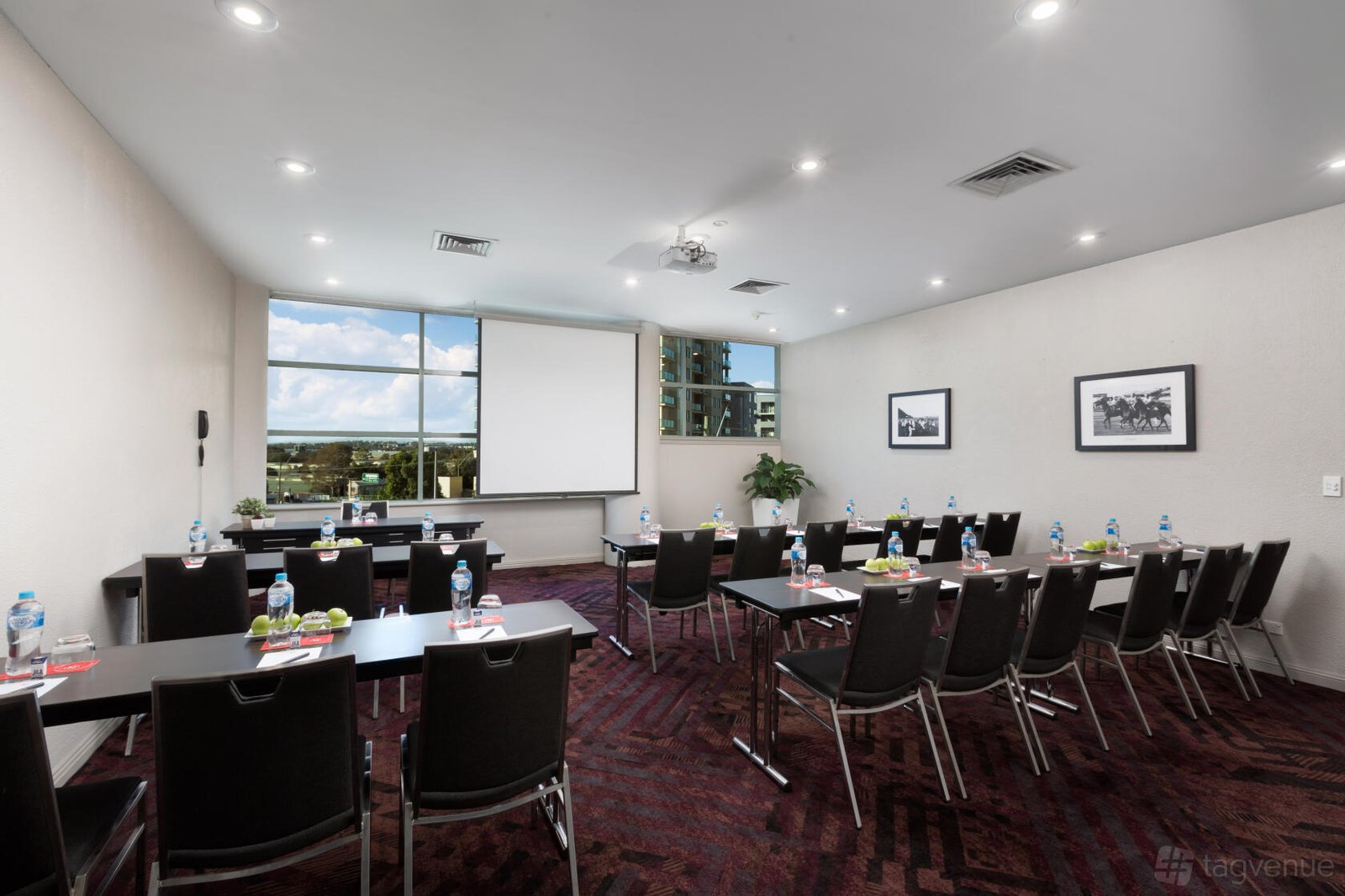 Makybe Diva at Rydges Parramatta photo 3