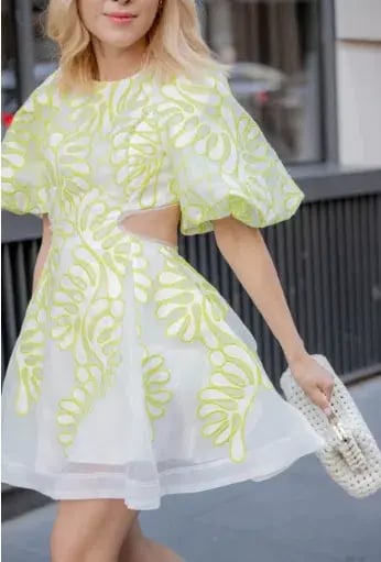 Aje Botanical Applique Mini Dress Ivory/Citrus Yellow Size 12 / L photo 5