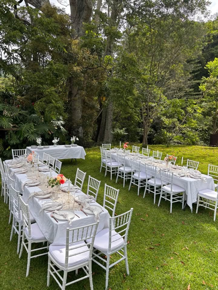 Tiffany Chairs photo 3