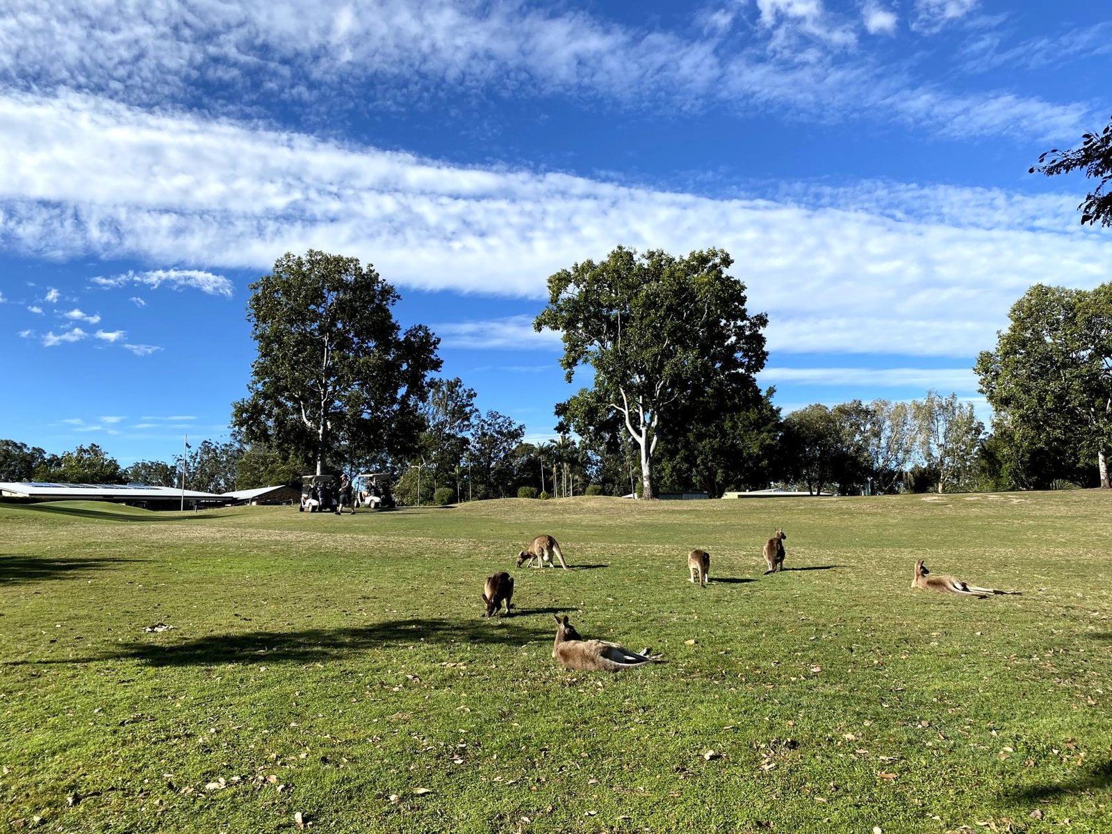 Event Space at Woodford Golf Club photo 9