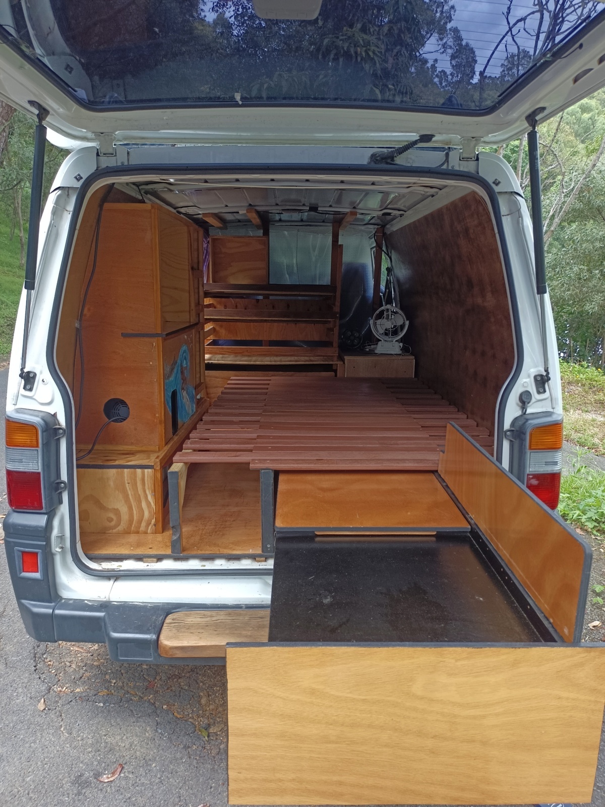 Soul van photo 12