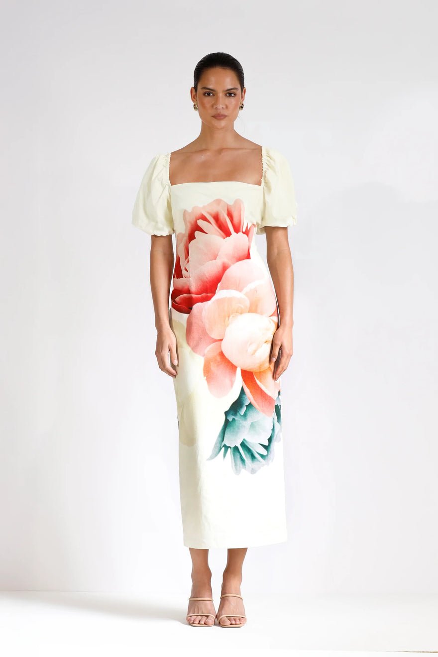 Pasduchas Nostalgia Sleeve Midi Dress - Multi photo 4
