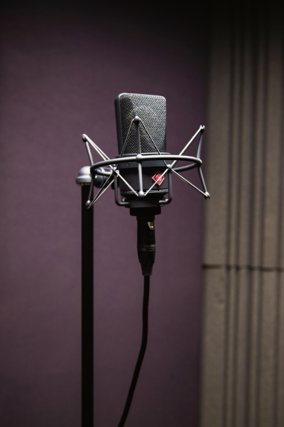 Echidna Audio Sound Isolation Studio photo 4