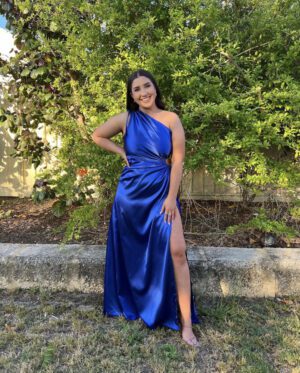 Sonya Nour Cobalt Blue Maxi Dress photo 3