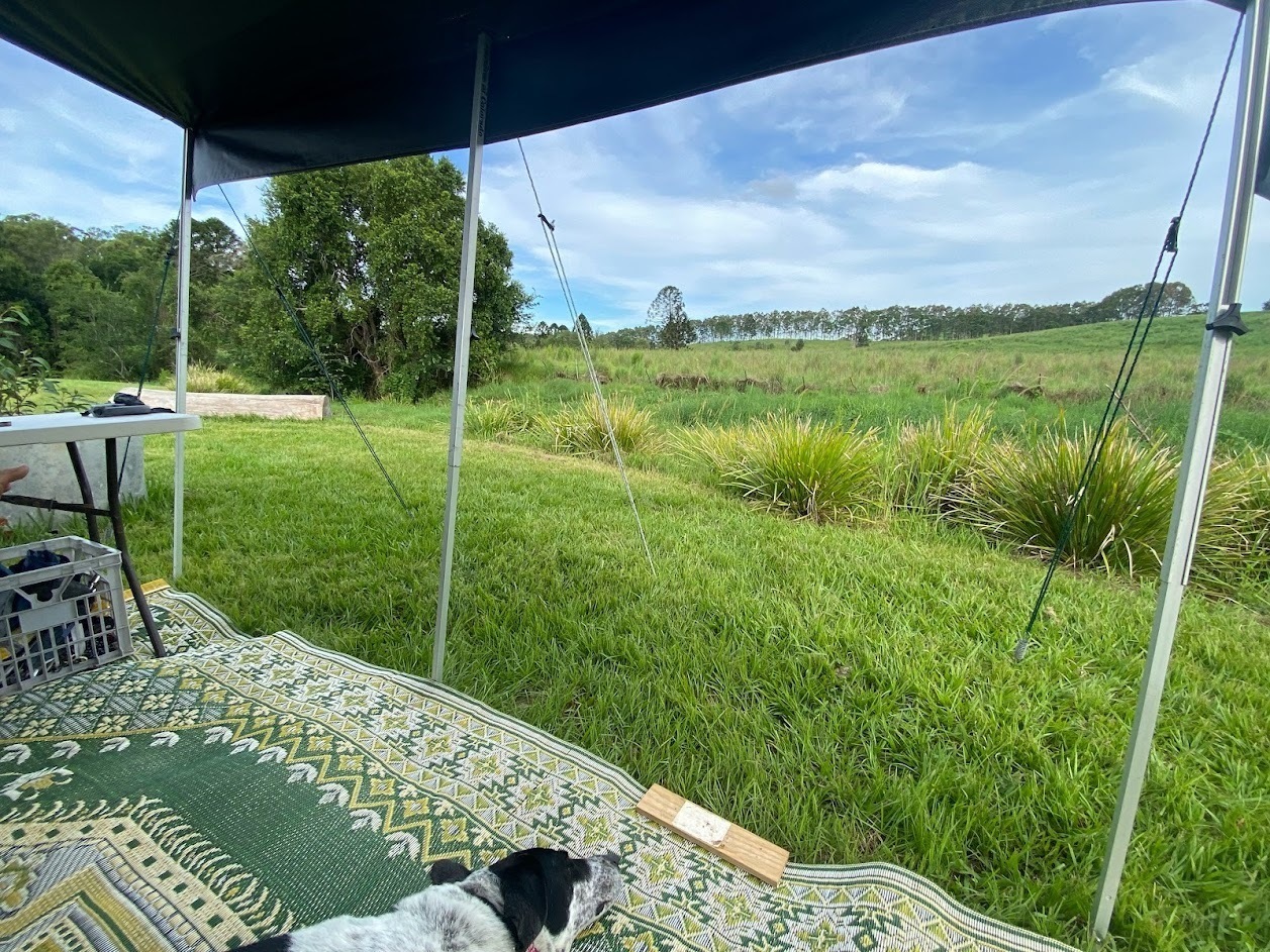 Puppy and Pop the Jayco pet Friendly camper photo 2