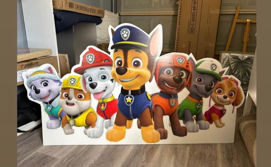 Paw patrol package hire photo 2