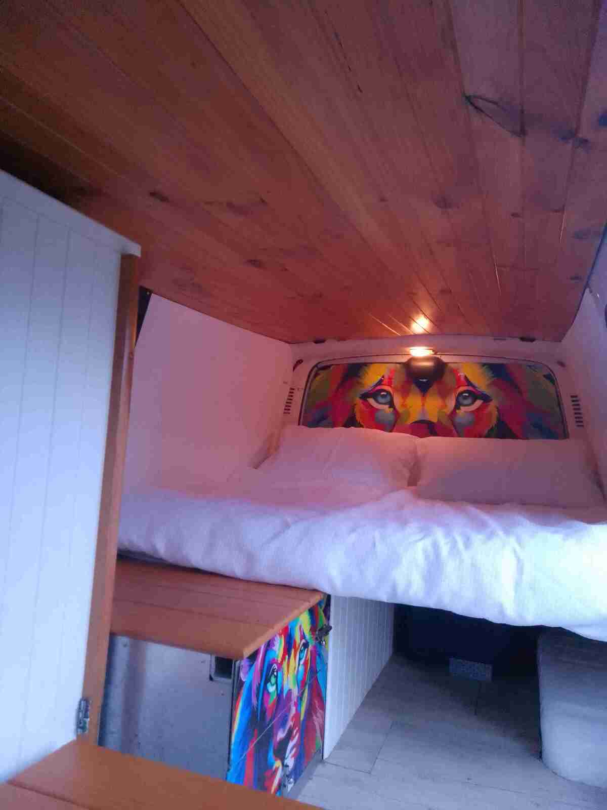 Lulu 🌻 photo 5
