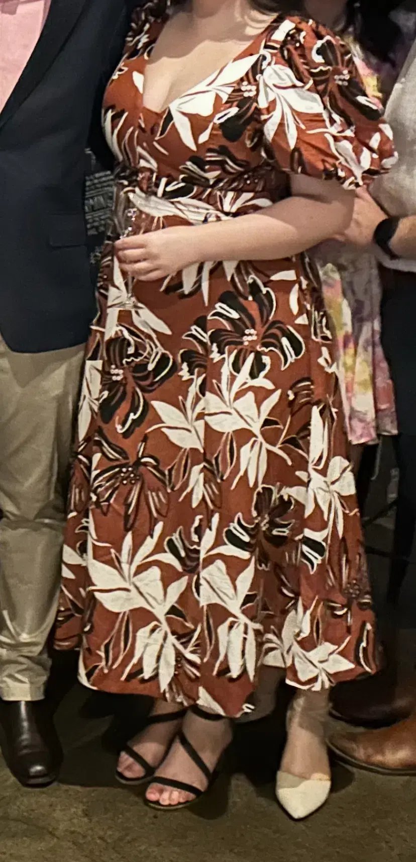 Shona Joy Emma Short Sleeve Panelled Midi Dress 14 photo 2