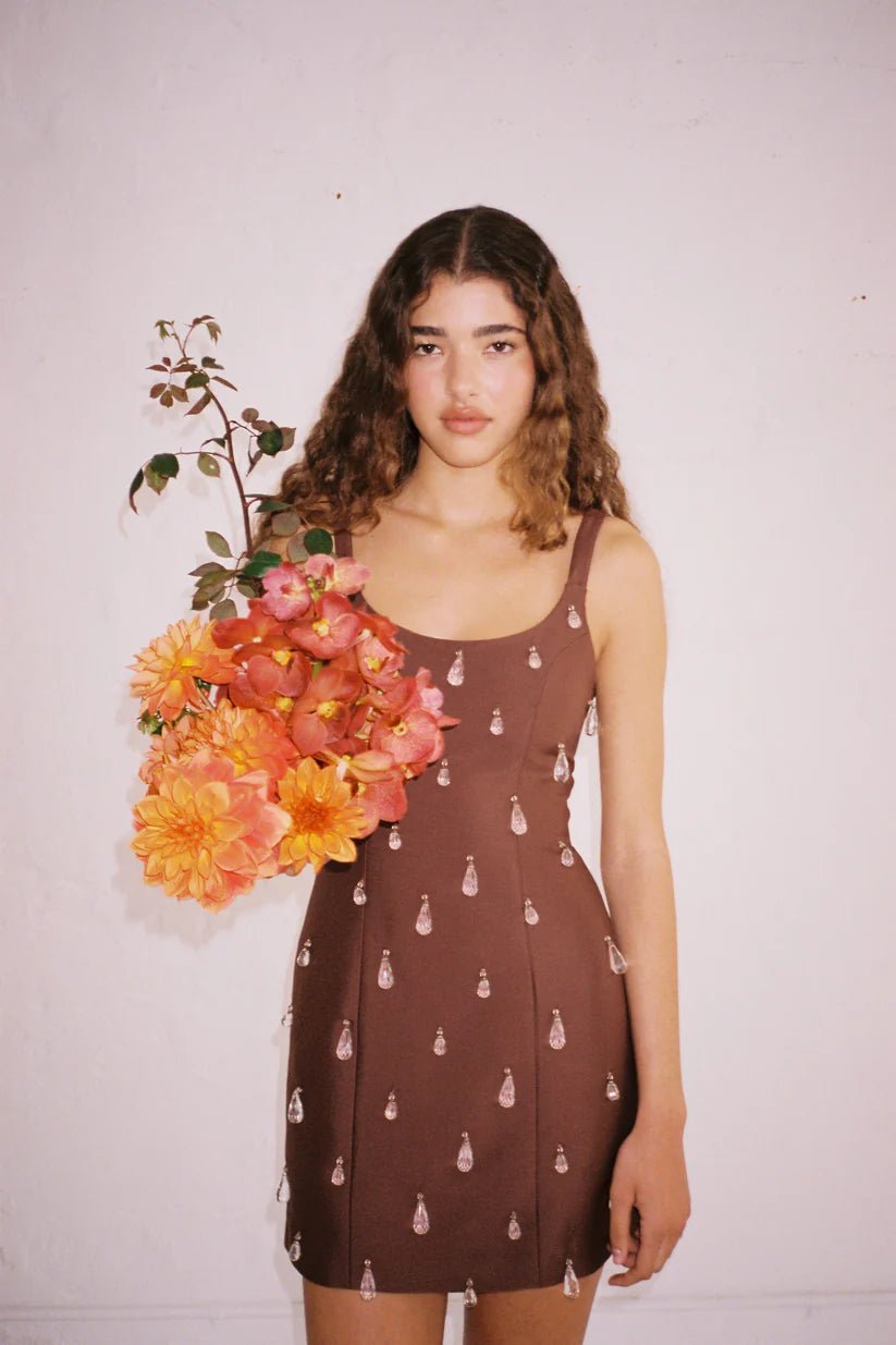THE WOLF GANG LUVIA BEADED MINI DRESS - CHOCOLATE photo 3