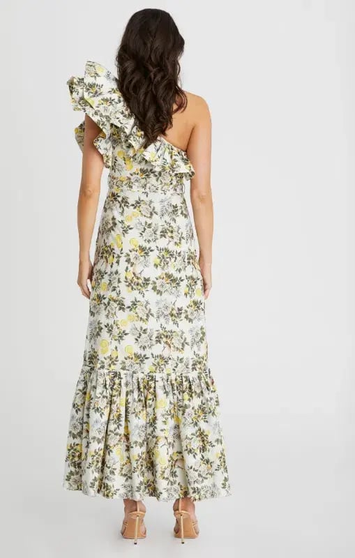 Aqua Blu Giselle Dress Clementine Print Size 10 photo 2