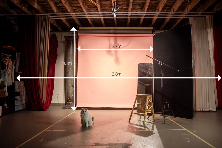 Photography Studio Leichhardt, Inner West, Sydney. photo 4