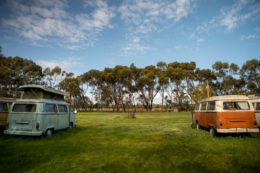 The Kombi Farm photo 5