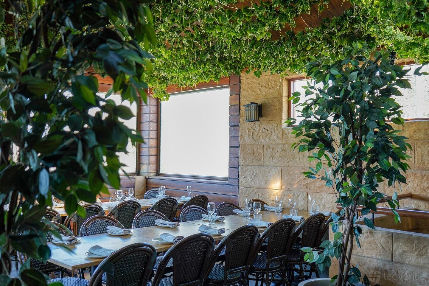 Terrace at Teta's Authentic Lebanese photo 6
