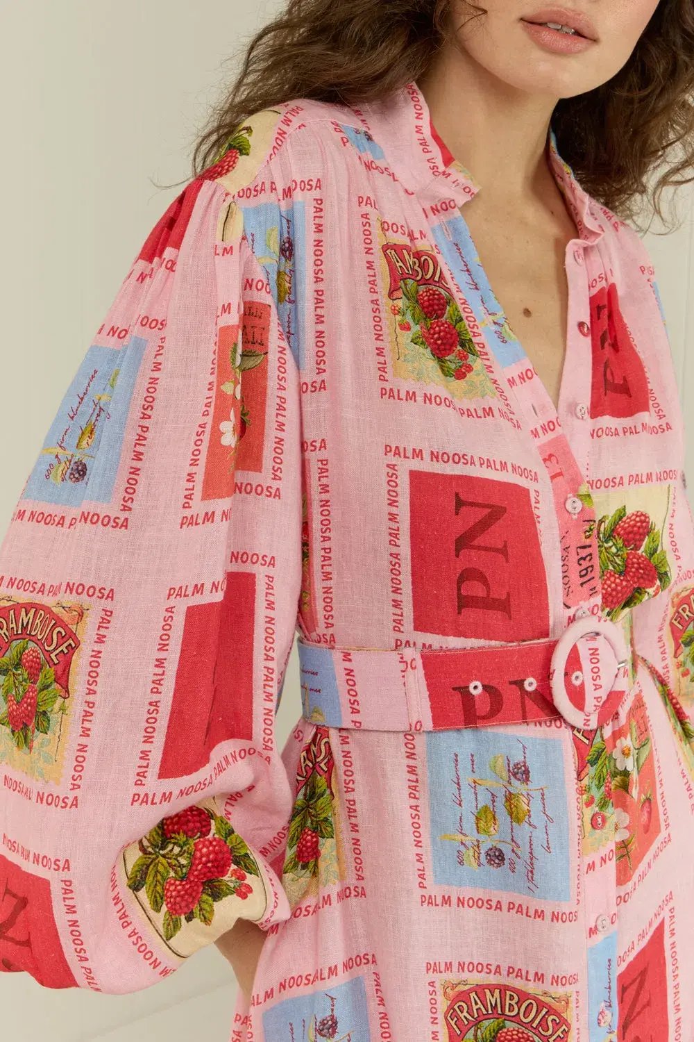 Palm Noosa Noddy Shirt Maxi Dress in Strawberry Stamp Print Size AU 10 photo 4