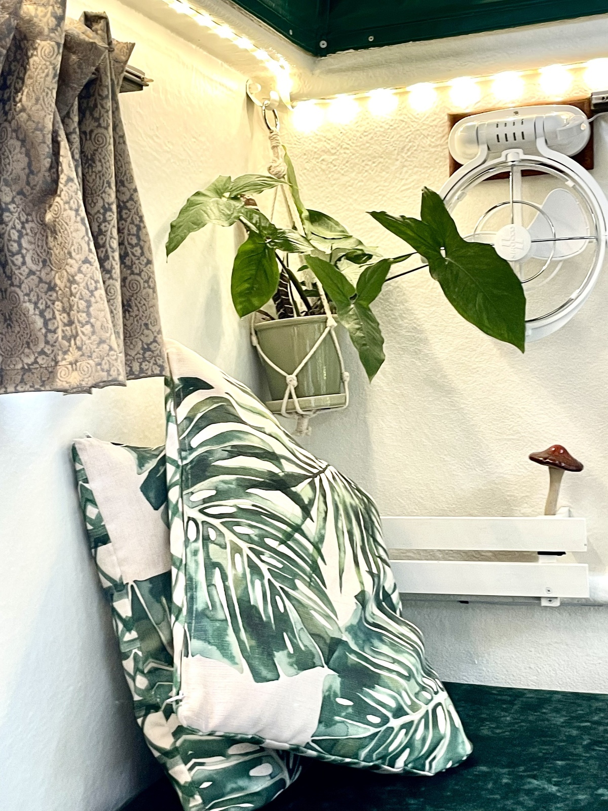 Home Sweet Roamer photo 6