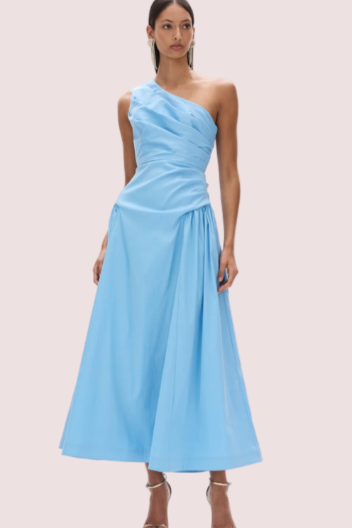 Rachel Gilbert Banksia Dress Blue photo 4