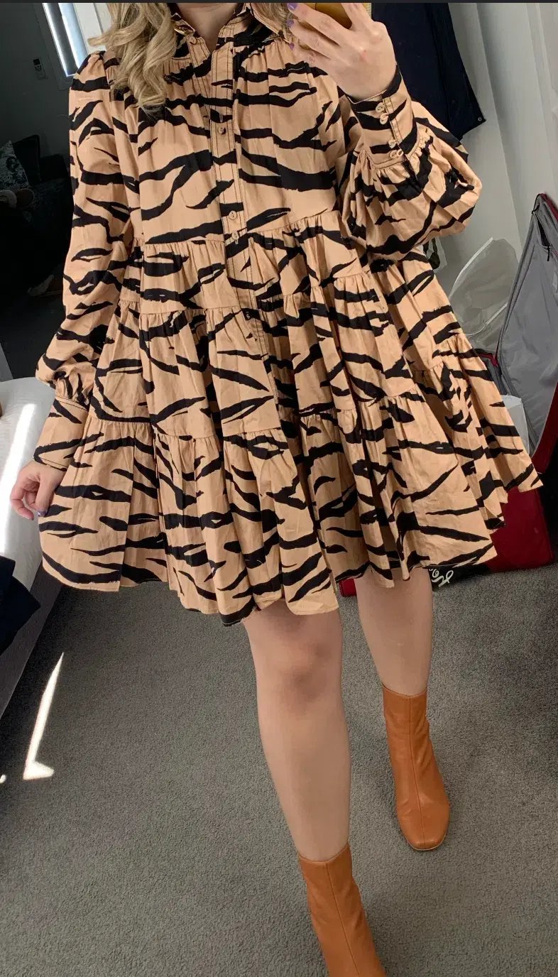 Aje Nouveau Zebra Stripe Smock Dress Print Size 6 photo 3