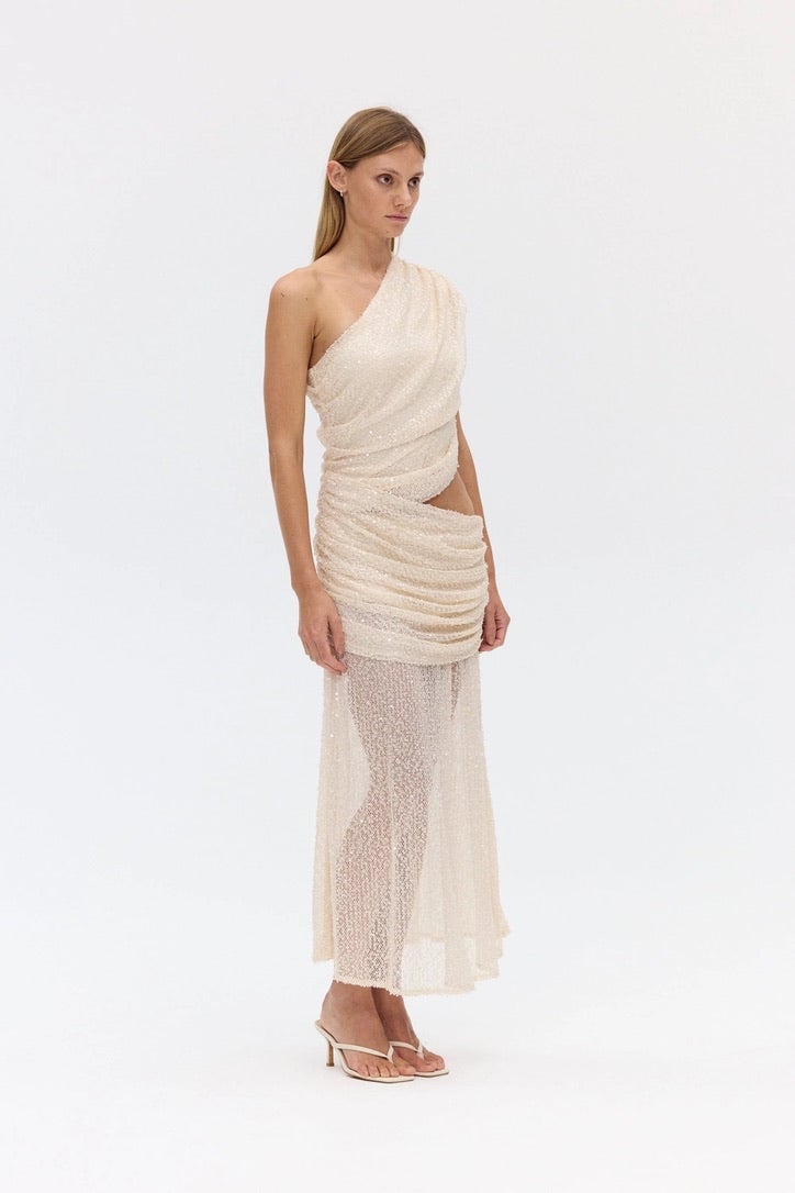 Third Form Nightfall Sequin Maxi Dress - Shell photo 2