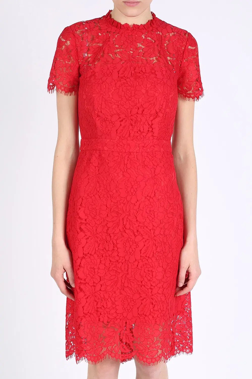 Diane Von Furstenberg Alma Lace Sheath Dress Red Size 8 photo 2