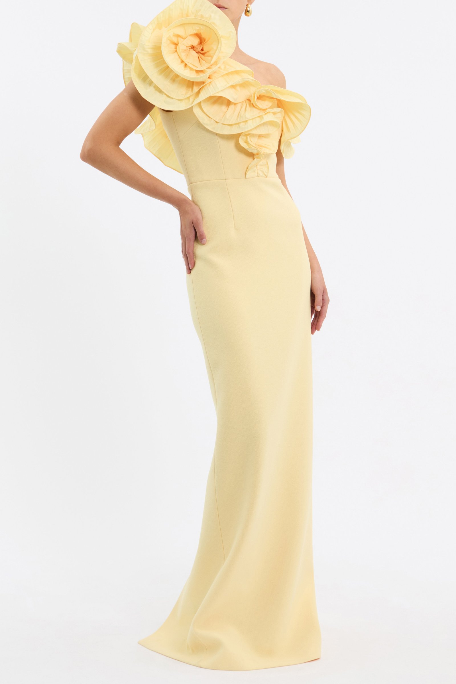 REBECCA VALLANCE LULU GOWN - POPCORN photo 3
