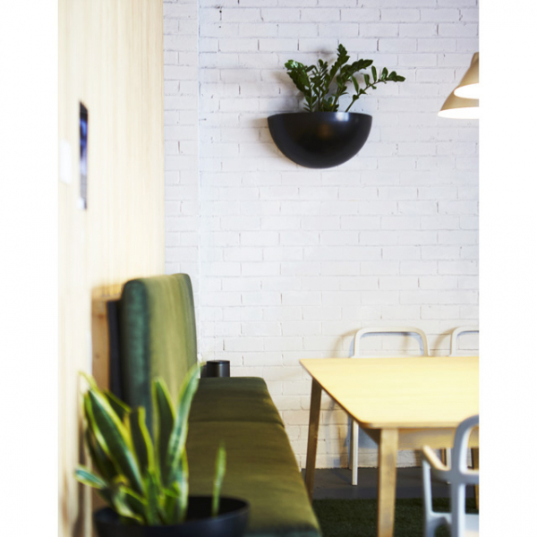 Regent Studio photo 2