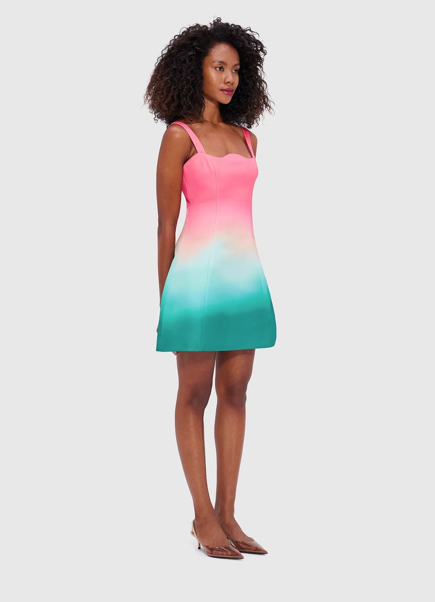 Leo Lin Abigail Mini Dress photo 2