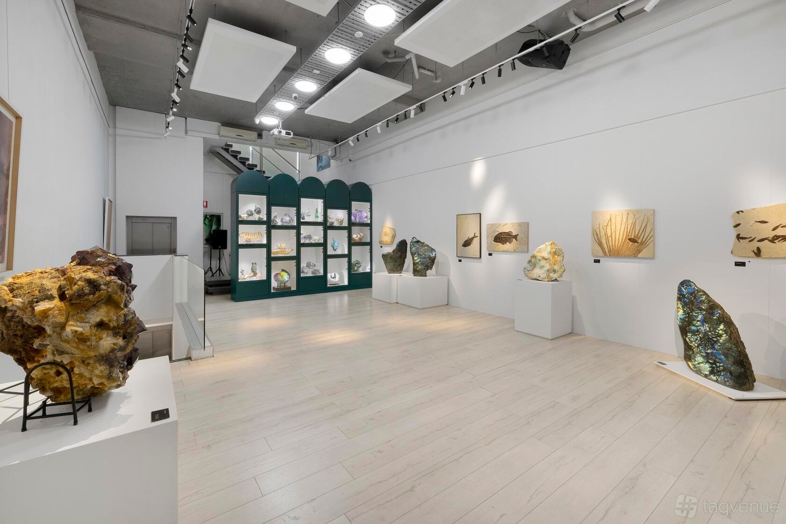 The Gallery Space at B.C. House photo 4